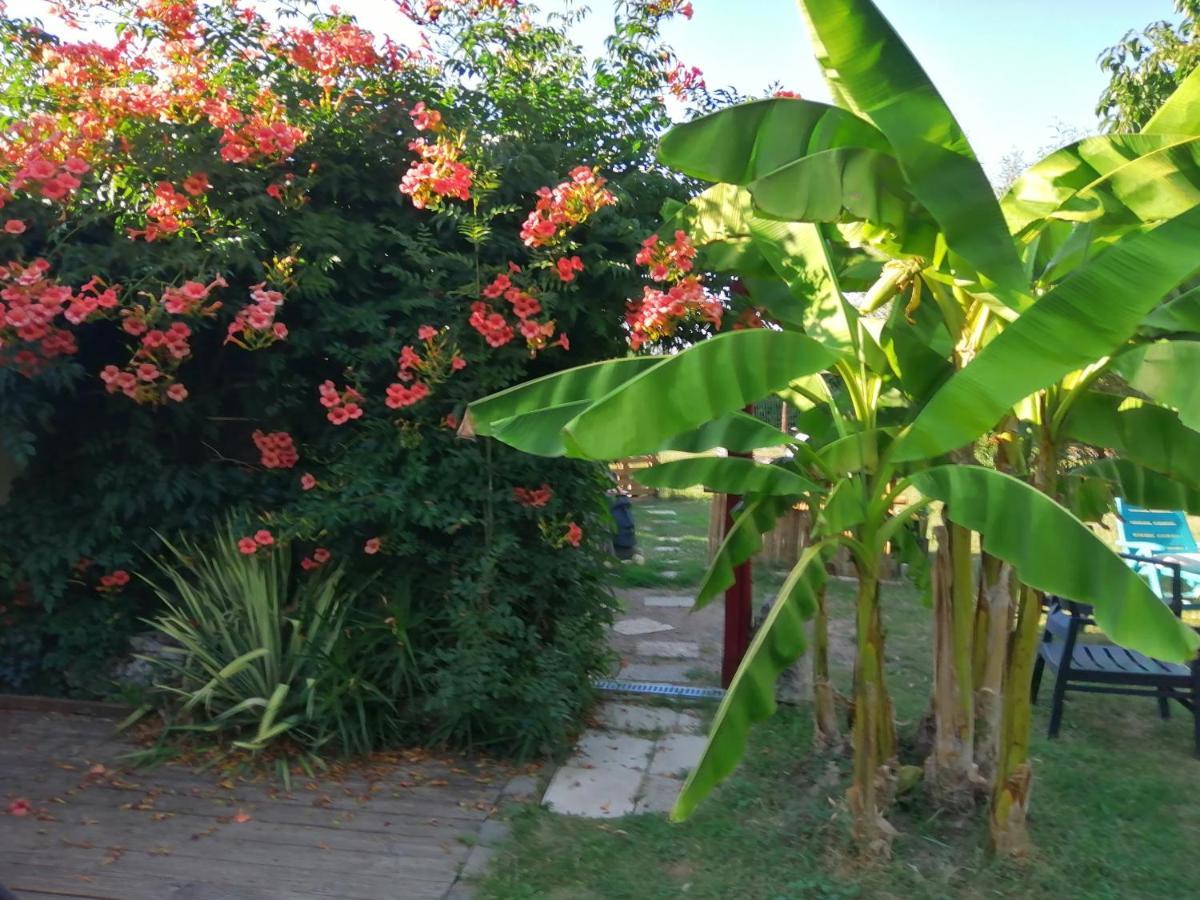 Bed and Breakfast Jacuzzi Massage Sur Rdv,Duo,Reiki,Californien, Reflexologie Plantaire, Et Bouteille Mousseux Offerte Ferolles Esterno foto