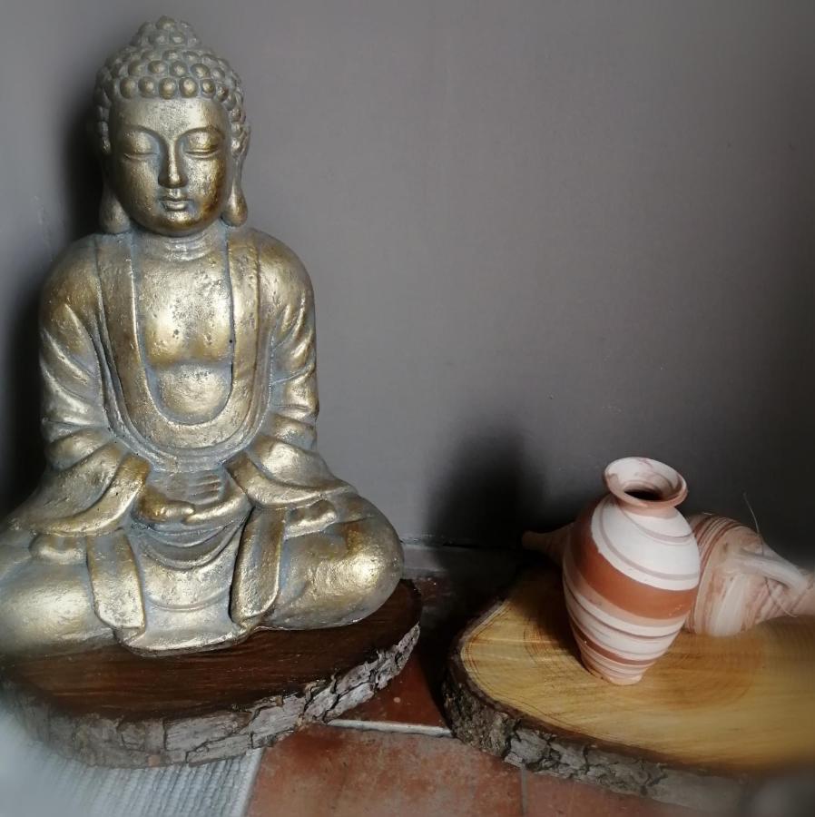 Bed and Breakfast Jacuzzi Massage Sur Rdv,Duo,Reiki,Californien, Reflexologie Plantaire, Et Bouteille Mousseux Offerte Ferolles Esterno foto