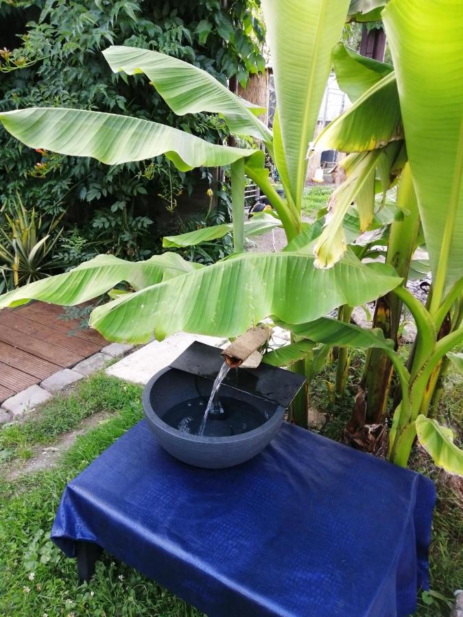 Bed and Breakfast Jacuzzi Massage Sur Rdv,Duo,Reiki,Californien, Reflexologie Plantaire, Et Bouteille Mousseux Offerte Ferolles Esterno foto